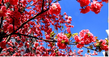 云南師范大學商學院3