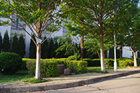 昆明醫(yī)科大學(xué)海源學(xué)院&mdash;&mdash;校園風(fēng)光