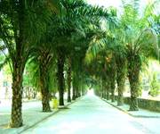 德宏師范高等?？茖W(xué)校&mdash;&mdash;優(yōu)美的校園景色