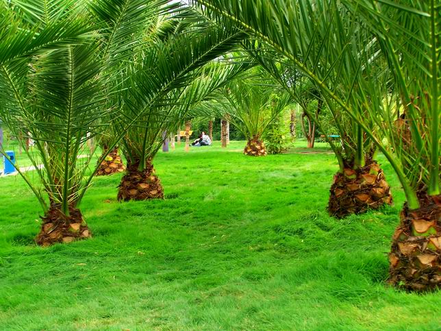 昆明工業(yè)職業(yè)技術(shù)學(xué)院&mdash;&mdash;美麗校園