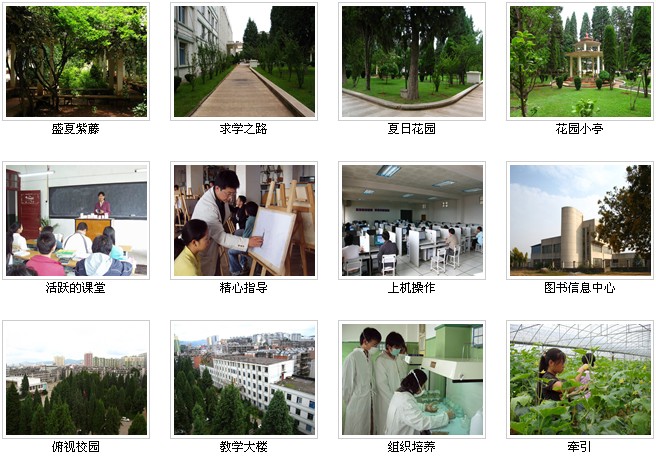 云南農(nóng)業(yè)職業(yè)技術(shù)學(xué)院&mdash;&mdash;校園風(fēng)光1