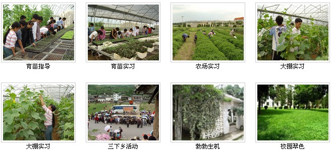 云南農(nóng)業(yè)職業(yè)技術(shù)學(xué)院&mdash;&mdash;校園風(fēng)光2